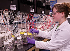 World-class research and development
