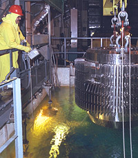Working with a Spent Nuclear Fuel assembly